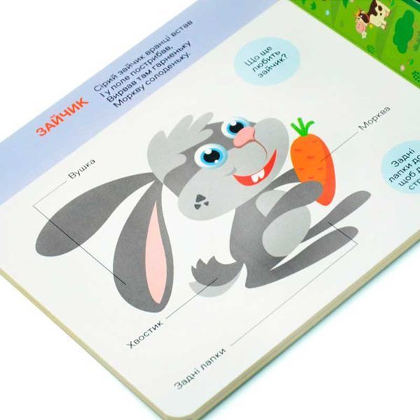 Розвиваюча книжка-картонка для моторики Ми у лісі Це цікаво Книжкова Хата 184358 фото &mdash; Кузя