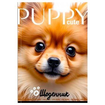 Шкільний щоденник Мандарин 25033 B-5 40 аркушів у твердій обкладинці 193554 фото &mdash; Кузя