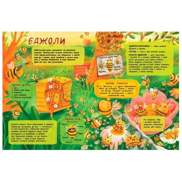 Дитяча книга Таємне життя комах укр 184323 фото &mdash; Кузя