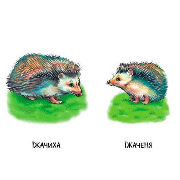 Книга-картонка Ранок &laquo;22 картинки Мами і дитинчата&raquo; Ранок 192844 фото &mdash; Кузя