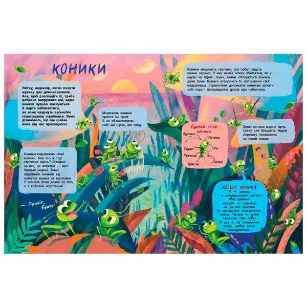 Дитяча книга Таємне життя комах укр 184323 фото &mdash; Кузя