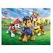 Пазл Dodo Paw Patrol Патруль возле Башни 200826 на 30 элементов 195141 фото 3 &mdash; Кузя