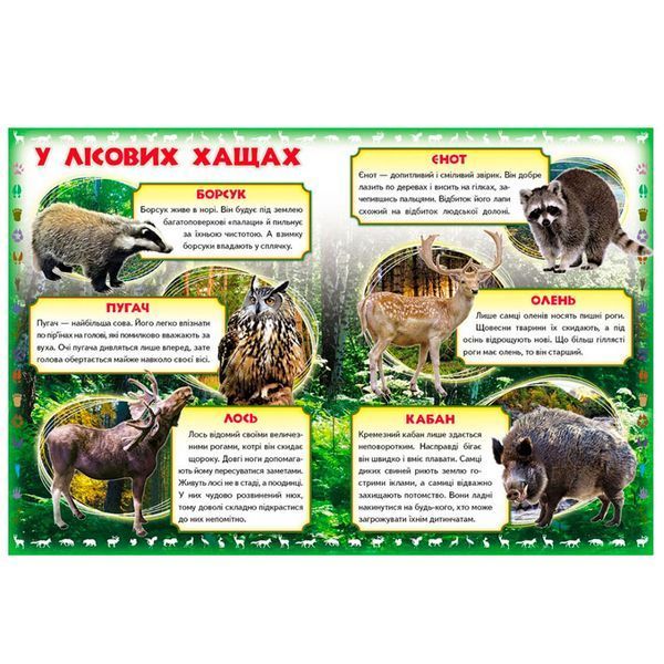 Дитяча книжка-картонка "Моя перша книга. Про диких тварин", Пегас 116718 фото &mdash; Кузя