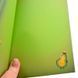 Блокнот Profiplan Fruit Аrtnote Jolie Аvocado, 64 л 182402 фото 1 &mdash; Кузя