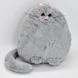 Мягкая игрушка "Толстый кот" C 15406, 28 см, 2 цвета C 15406 фото 2 &mdash; Кузя