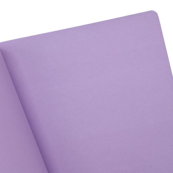 Набір блокнотів з гелевою ручкою А5 В6 Profiplan Title note violet, 64 арк 182419 фото &mdash; Кузя