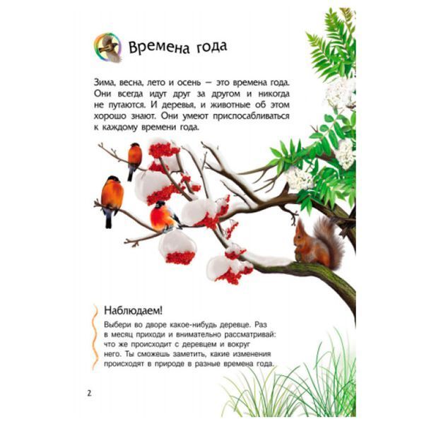 Энциклопедия дошкольника "Природа" Ранок 137524 фото &mdash; Кузя