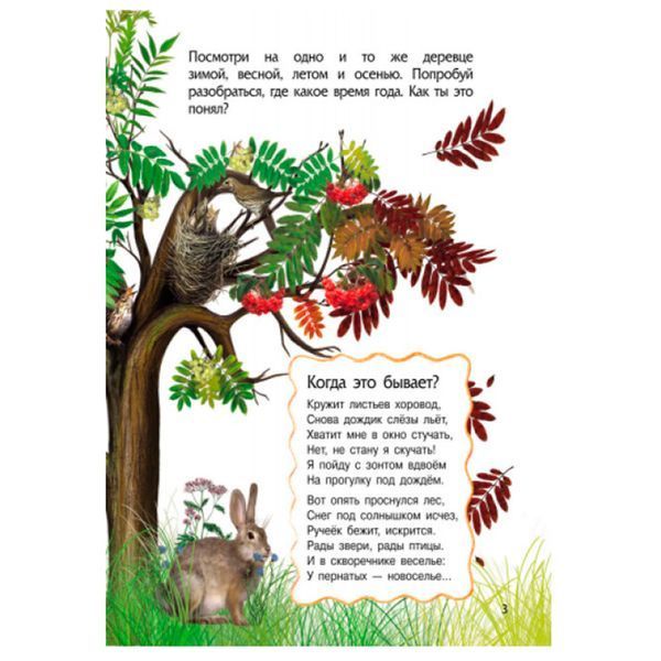 Энциклопедия дошкольника "Природа" Ранок 137524 фото &mdash; Кузя
