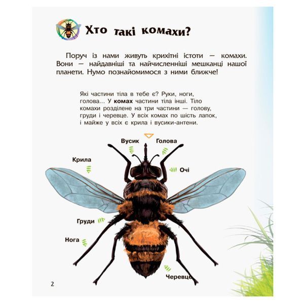 Энциклопедия дошкольника "Комахи" Ранок 128409 фото &mdash; Кузя