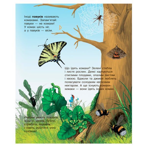 Энциклопедия дошкольника "Комахи" Ранок 128409 фото &mdash; Кузя