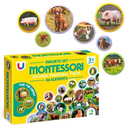 DODO出品 Магнитный набор Монтессори 