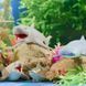 Стретч-іграшка Хранителі океану Sbabam Legend of animals Маxi 106 CN24 188502 фото 4 &mdash; Кузя