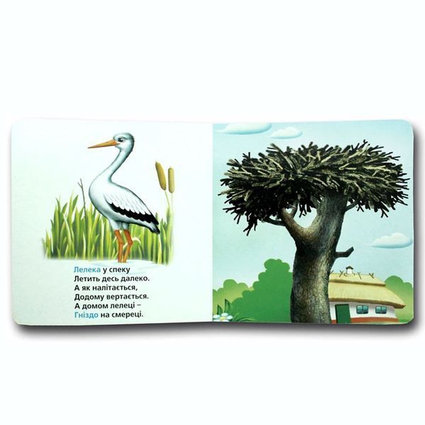 Книга - картонка "Хто де живе?" 114104 фото &mdash; Кузя