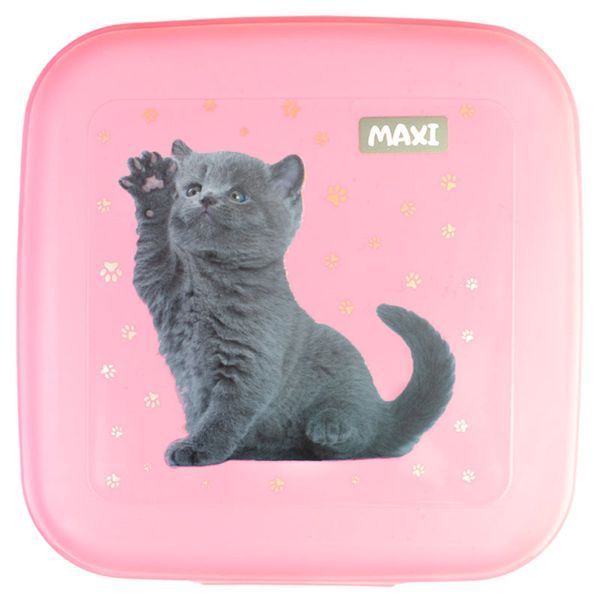 Ланч бокс Кошеня Maxi MX98138, 850 мл