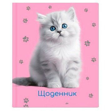 Шкільний щоденник для дівчинки CoolForSchool MX29932-09 48 аркушів 194796 фото &mdash; Кузя