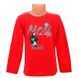 Кофта для хлопчика трикотажна 98-122(3-7років) арт.13155 176599 фото 1 &mdash; Кузя