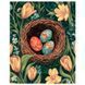 Картина за номерами Весняна знахідка 40-50 см Art Craft 12520-АС 190446 фото 2 &mdash; Кузя