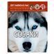 Фотоэнциклопедия "Світ навколо нас. Собаки" 180792 фото 1 &mdash; Кузя