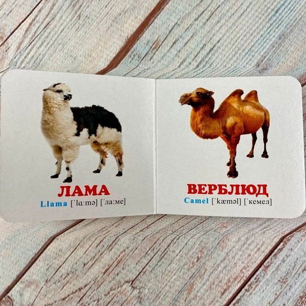 Книжка-картонка У зоопарку з англійськими словами Пегас 189546 фото &mdash; Кузя
