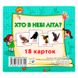 Набор карточек Домана "Кто в небе летает?" (18 карточек), укр. 175517 фото 1 — Кузя