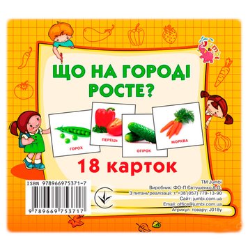 Набір карток Домана "Що на городі росте?" (18 карток) 175513 фото — Кузя