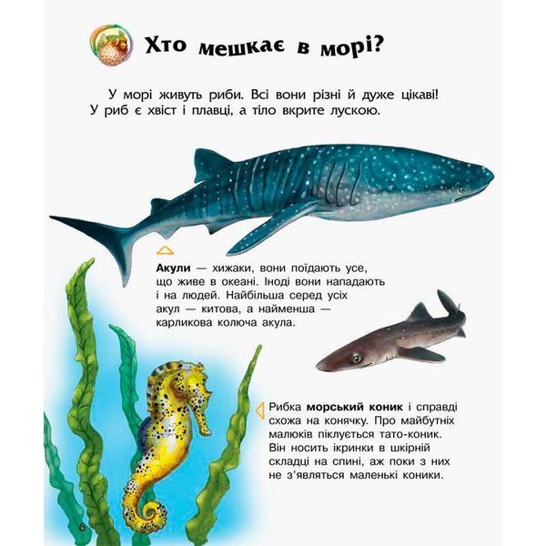 Энциклопедия дошкольника Океаны и моря Ранок, укр 184305 фото &mdash; Кузя