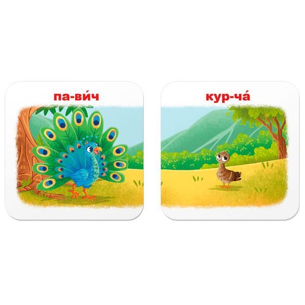Розвивальні картки Crystal Book Зоопарк Хто чиє малятко 30 карток 475881 192521 фото &mdash; Кузя